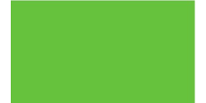 Oracal 751 063 Gloss Lime-Tree Green 1 m  /assets/images/items/2380/0209957001539332613.jpg