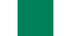 Siser P.S. Electric E0009 Green  /assets/images/items/1766/0599473001535715421.jpg