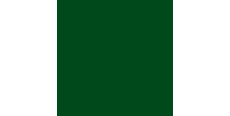 KPMF 88771 Pine Green Gloss 1.524 m  /assets/images/items/3574/0681235001556270601.jpg