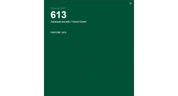 Oracal 641 613 Gloss Forest Green 1 m