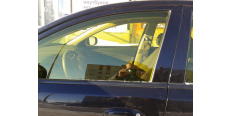 Sun Control NR 80 Yellow 1.524 m  /assets/images/items/512/0655785001502639340.jpg