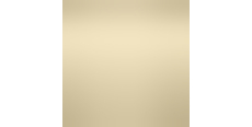 Siser P.S. Electric E0108 Champagne  /assets/images/items/4230/0773991001584544384.jpg