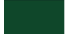 Oracal 751 661 Gloss Leaf Green 1 m  /assets/images/items/2445/0302885001539549492.jpg