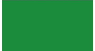 Oracal 751 062 Gloss Light Green 1 m