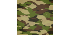 Плівка камуфляж НАТО 2 (Україна) 1.52 m  /assets/images/items/5401/0100381001654871855.jpg