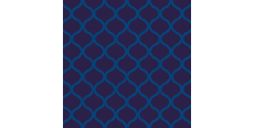 ORALITE 6900 Blue 1.235 m  /assets/images/items/3968/0417696001570435677.jpg