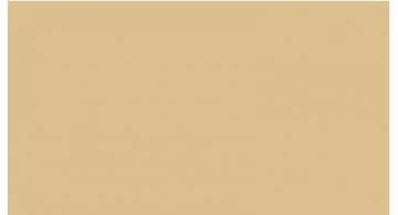 Oracal 751 818 Gloss Saffron 1 m