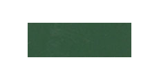 Poli-Flex Nylon 4807 Forest Green  /assets/images/items/1460/0318046001534796860.jpg