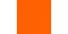ORALITE 5300 Orange 1.235 m  /assets/images/items/3892/0700403001570102818.jpeg