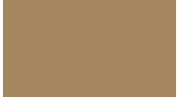 Oracal 751 081 Gloss Light Brown 1 m