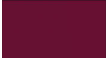 Oracal 751 048 Gloss Bordeaux 1 m