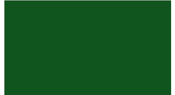 Oracal 751 078 Gloss Foliage Green 1 m