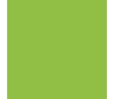 Siser P.S. Film A0058 Apple Green