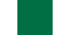KPMF 88075 Mid Green Gloss 1.524 m  /assets/images/items/317/0593703001679315082.jpg