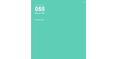 Oracal 641 055 Matte Mint 1 m  /assets/images/items/2245/0542688001538862631.jpg