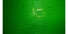 Orajet Green Film under the skin of the reptile 1.524 m  /assets/images/items/792/0702596001502951815.jpg