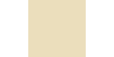 Oracal 970 Taxibeige Gloss 809 1.524 m  /assets/images/items/738/0842225001502876849.jpg
