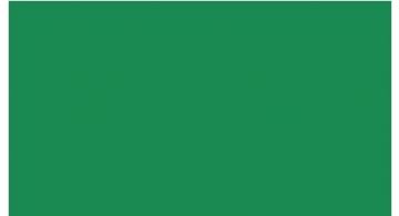 Oracal 751 619 Gloss Traffic Green 1 m
