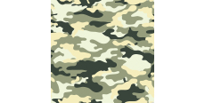Camofilm А010 1.524 m  /assets/images/items/4138/0014445001574162534.jpg