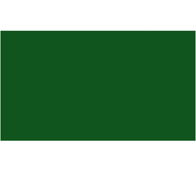 Oracal 751 078 Gloss Foliage Green 1 m