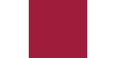 Siser P.S. Film Extra A0016 Burgundy  /assets/images/items/1850/0229709001535725126.jpg