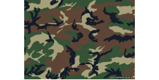 Camofilm А008 1.524 m  /assets/images/items/4136/0787893001574162187.jpg