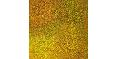 Siser Holographic Gold H0020 0.50 m  /assets/images/items/4811/0417361001620905812.jpg