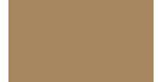 Oracal 751 081 Gloss Light Brown 1 m  /assets/images/items/2397/0122608001539338298.jpg