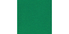 Siser 3D Techno TE0009 Green  /assets/images/items/1657/0424730001535577141.jpg