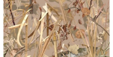 Camofilm А020 1.524 m  /assets/images/items/4144/0766363001574172559.jpg
