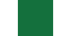 Siser Soft Ultra Thin Material SF0009 Green  /assets/images/items/1940/0182765001535989351.jpg