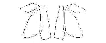 Lexus | PLENKA.market