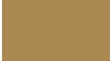 Oracal 751 811 Gloss Sahara Beige 1 m