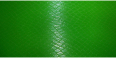 Orajet Green Film under the skin of a snake 1.524 m  /assets/images/items/796/0373638001502952877.jpg