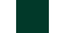 Oracal 970 Fir Tree Green Gloss 622 1.524 m  /assets/images/items/1172/0257853001512037423.png