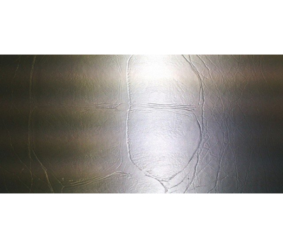Orajet Silver Film under the skin of the reptile 1.524 m