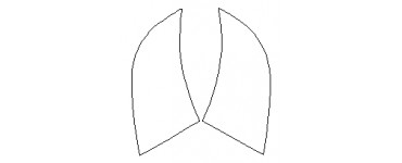 Acura | PLENKA.market