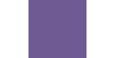 Siser P.S. Electric E0015 Purple  /assets/images/items/1767/0153729001535715502.jpg