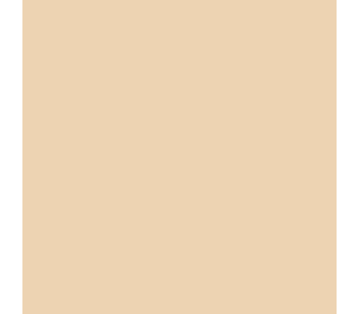 Siser P.S. Film A0038 Pearl