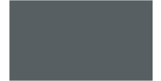 Oracal 751 713 Gloss Iron Grey 1 m  /assets/images/items/2446/0355567001539549592.jpg