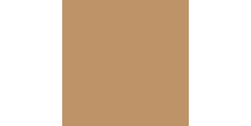 Siser P.S. Film A0073 Tan  /assets/images/items/1824/0376466001535728624.jpg