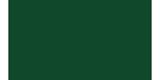 Oracal 751 060 Gloss Dark Green 1 m  /assets/images/items/2377/0145313001539332276.jpg