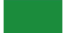 Oracal 751 062 Gloss Light Green 1 m  /assets/images/items/2379/0799053001539332532.jpg