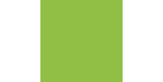 Siser P.S. Film Extra A0058 Apple Green  /assets/images/items/1868/0269455001535726967.jpg