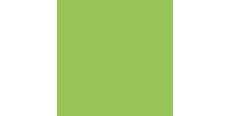 Siser Brick 1000 BK0026 Fluorescent Green High Thickness  /assets/images/items/1685/0282882001535613736.jpg