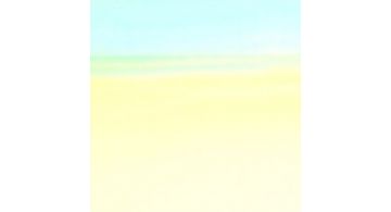 Siser Holographic Spectrum H0089 0.50 m