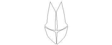 Acura | PLENKA.market