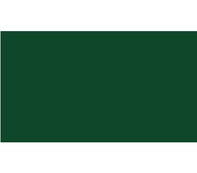 Oracal 751 661 Gloss Leaf Green 1 m