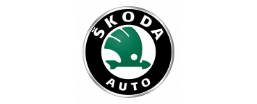 Skoda | PLENKA.market
