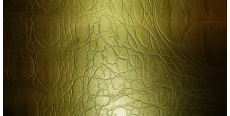 Orajet Gold Film under the skin of the reptile 1.524 m  /assets/images/items/789/0920467001502950730.jpg